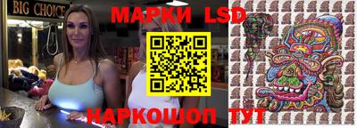 spice Кулебаки