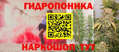 дживик Кунгур