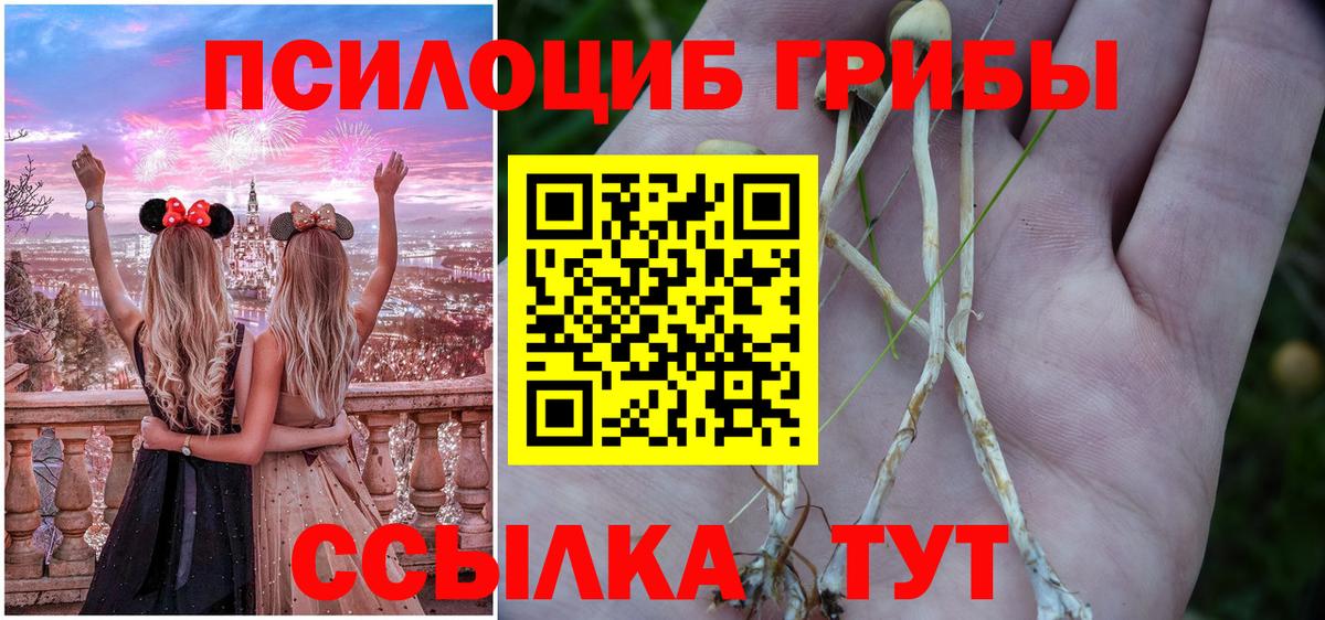 Псилоцибиновые грибы Magic Shrooms Шахты