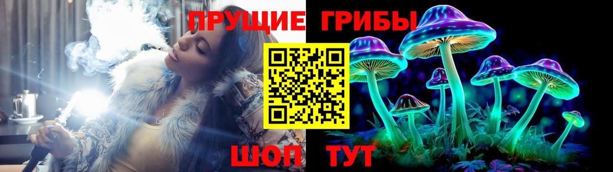 Шахты  Псилоцибиновые грибы ЛСД  Вход с VPN  Галлюциногенные грибы Psilocybine cubensis 